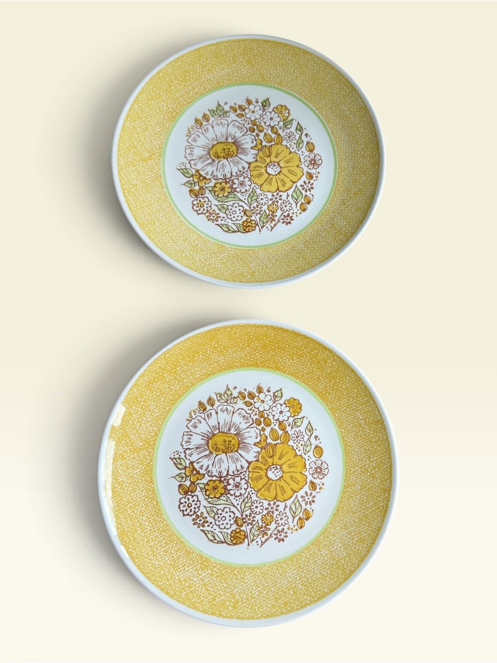 Two Vintage Taylor, Smith & Taylor Ironstone Dinner Plates in "Nosegay" Pattern